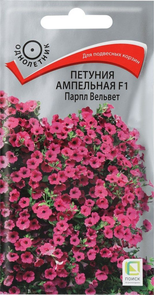 Петунии ПОИСК Агрохолдинг ПОИСК Петуния ампельная Парпл Вельвет F1 ...