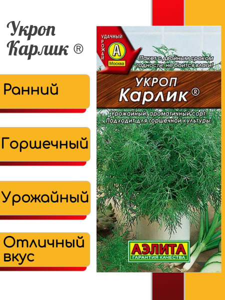 Укроп Аэлита для балкона_1_Укроп Карлик - купить по выгодным ценам в ...