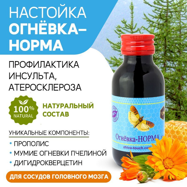Настойка Огневка Норма для сосудов головного мозга, от давления ...
