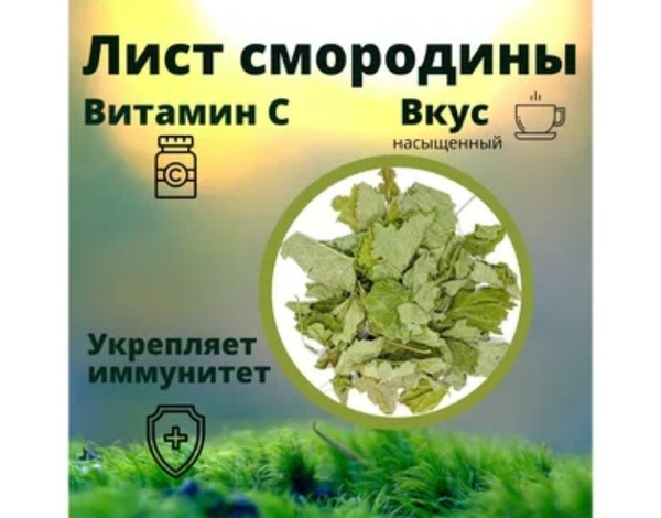 Лист смородины черной. 50гр. Сбор 2024 - купить с доставкой по выгодным ...
