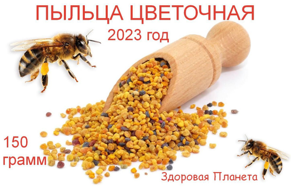 Пыльца пчелиная цветочная 2023 год 150 грамм - купить с доставкой по ...