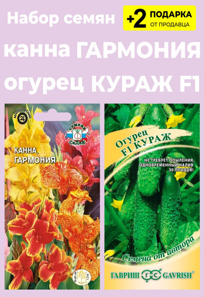 Канны For Home And Family Гармония - купить по выгодным ценам в ...