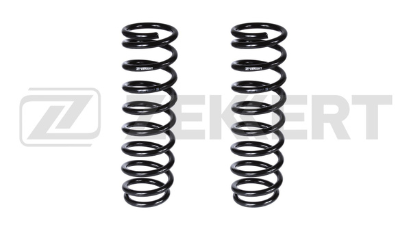 Пружина подвески задняя (комплект 2шт.) для Mitsubishi Outlander II 03 ...