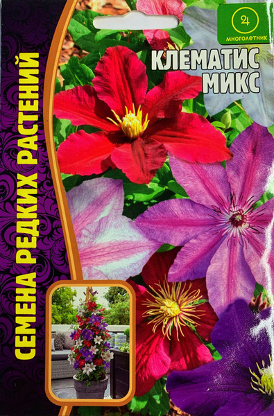 Клематис, Клематисы Григорьев Лианы_1_Клематис МИКС - купить по ...
