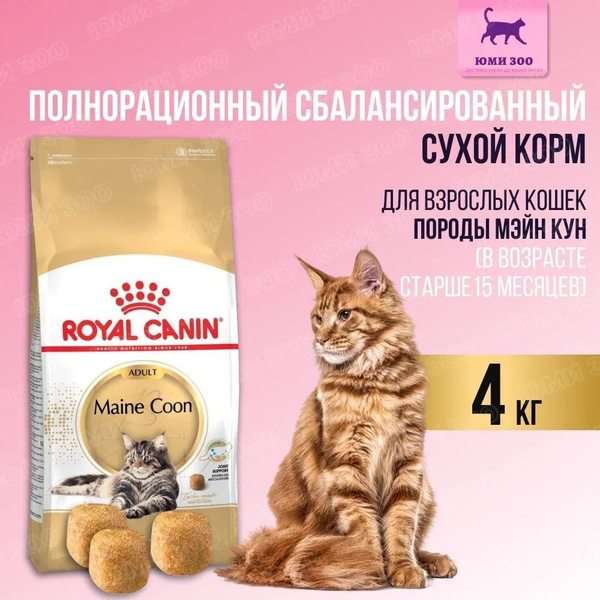 ROYAL CANIN Maine Coon Роял Канин Мейн Кун сухой корм для кошек породы ...