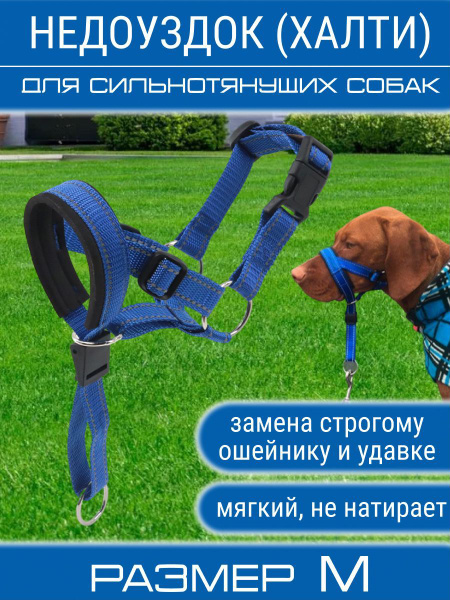 Недоуздок для собак крупных, средних, мелких пород / Намордник халти ...