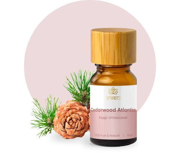 Эфирное масло, Масло для массажа, Кедр атласский (Cedrus altantica), 5 ...