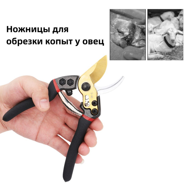 Ножницы для обрезки копыт овец и коз - купить с доставкой по выгодным ...