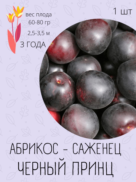 Клубни купить по выгодной цене в интернет-магазине OZON (1191375077)
