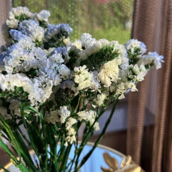 Стабилизированные цветы Статица, Лимониум, 50 см, 50 гр, 1 шт купить по ...