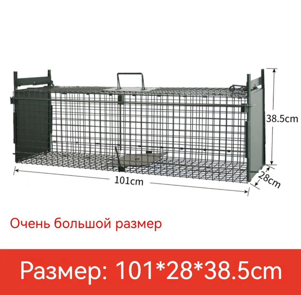 Клетки Больших Размеров Купить