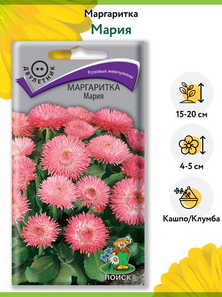 Маргаритки ПОИСК Агрохолдинг цветы многолетние для сада. - купить по ...