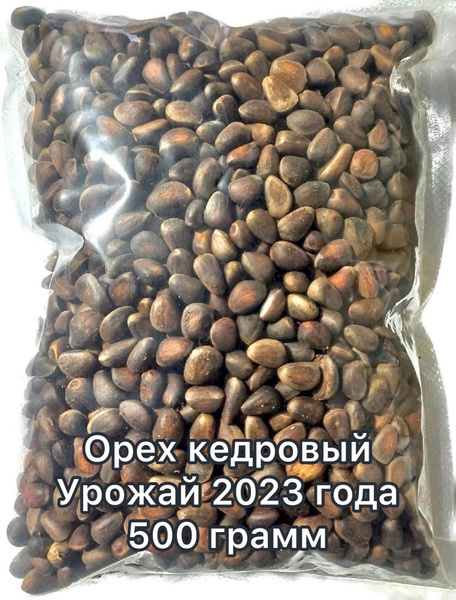 Орех кедровый в скорлупе 500 грамм.Урожай 2023 года. - купить с ...