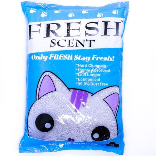 Fresh kitty best sale