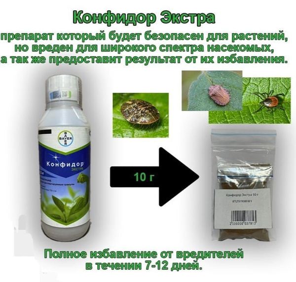Конфидор Экстра Системный инсектицид (500 г) - купить с доставкой по ...