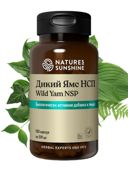 Дикий Ямс НСП / Wild Yam NSP/100 капсул по519мг - купить с доставкой по ...