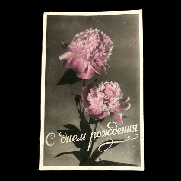 Открытка СССР. "С днем рождения!" пионы 1957 год - купить с доставкой ...
