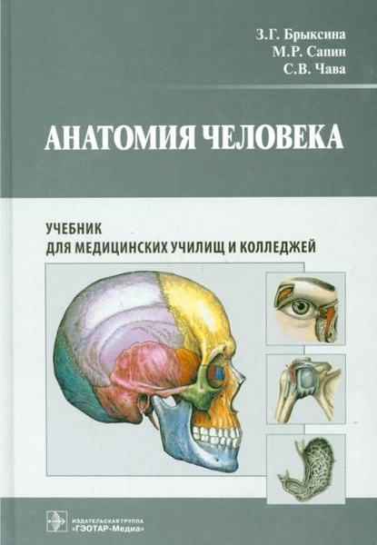 Анатомия человека. Учебник для педагогических вузов | Чава Светлана ...