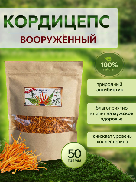 Гриб Кордицепс сушеный 50 грамм - купить с доставкой по выгодным ценам ...