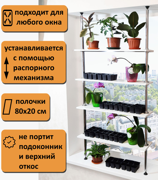 Высота полок для рассады