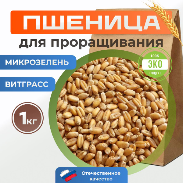 Пшеница для проращивания, микрозелень для проращивания, ростки пшеницы ...