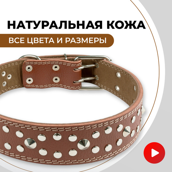 Ошейник кожаный для больших собак, для крупных пород широкий купить на ...