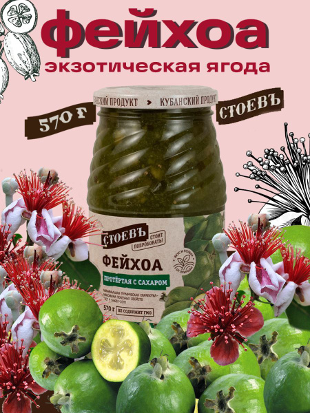 Фейхоа протертое с сахаром 1 шт 570 гр - купить с доставкой по выгодным ...