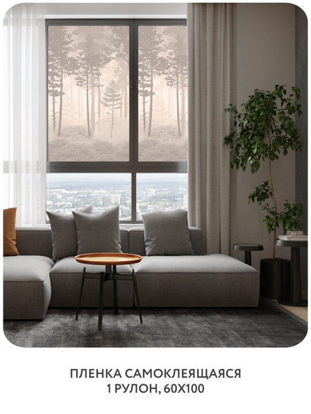 Пленка для окон декоративная Citydecor 60х100см купить по выгодной цене ...