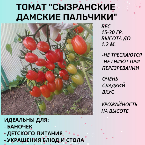 Томаты томатов черри - купить по выгодным ценам в интернет-магазине ...