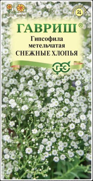 Гипсофилы многолетние Гавриш Гипсофила метельчатая Снежные Хлопья ...