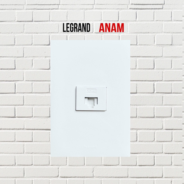 Розетка компьютерная Legrand Anam, в сборе - купить по низкой цене в ...