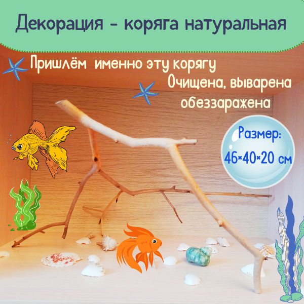 Декорация-коряга из натурального дерева для аквариума/террариума ...