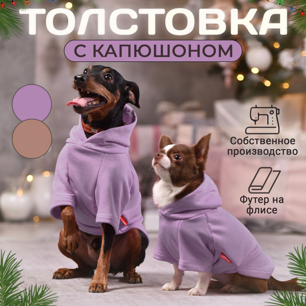 Одежда для собак мелких пород ТРЕЗОР - купить с доставкой по выгодным ...