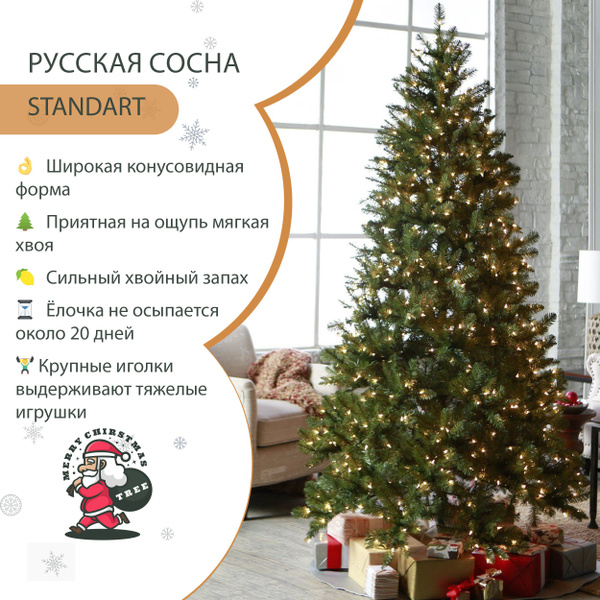 Елка живая, 150-175 см - купить с доставкой по выгодным ценам в ...