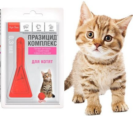 Таблетки празицид для кошек