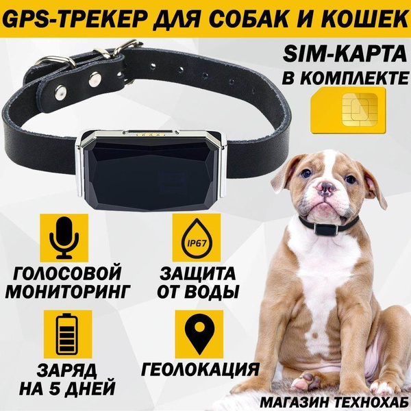 GPS-трекер для питомца i-telecom BHxFrXEn, с GPS, A-GPS купить по ...
