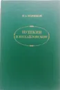 Пушкин в Михайловском - И. Новиков
