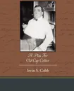 A Plea for Old Cap Collier - Irvin S. Cobb