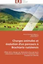 Charges animales et evolution d'un parcours a brachiaria ruziziensis - Collectif