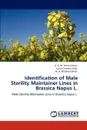 Identification of Male Sterility Maintainer Lines in Brassica Napus L. - A. K. M. Aminul Islam, Sujan Chandra Saha, M. A. Khaleque Mian