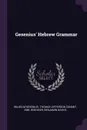 Gesenius' Hebrew Grammar - Wilhelm Gesenius, Emil Roediger