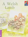 C Storybooks 4 Welsh Lamb - Brown