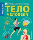 Тело человека. 500 удивительных фактов - Энн Руни