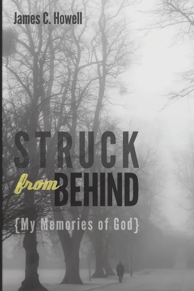 Обложка книги Struck from Behind. My Memories of God, James C. Howell