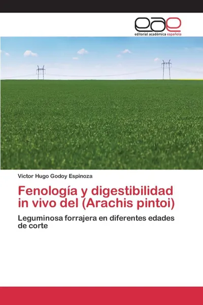 Обложка книги Fenologia y digestibilidad in vivo del (Arachis pintoi), Godoy Espinoza Víctor Hugo