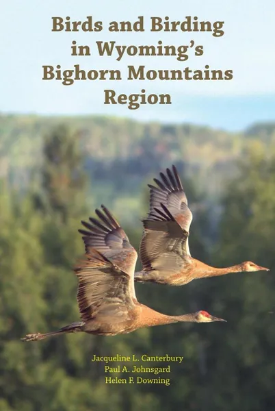 Обложка книги Birds and Birding in Wyoming's Bighorn Mountains Region, Paul A. Johnsgard, Jacqueline L. Canterbury, Helen F. Downing