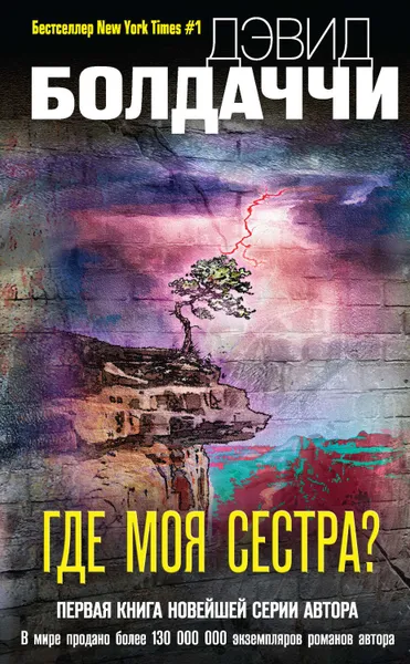 Обложка книги Где моя сестра?, Болдаччи Дэвид