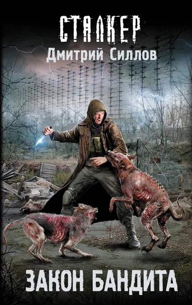 Обложка книги Закон бандита, Силлов Дмитрий Олегович