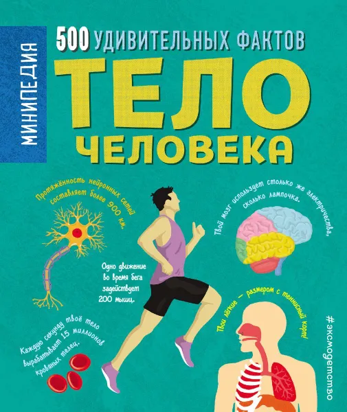 Обложка книги Тело человека. 500 удивительных фактов, Энн Руни