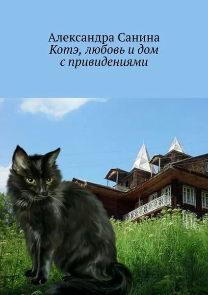 Обложка книги Котэ, любовь и дом с привидениями, Александра Санина